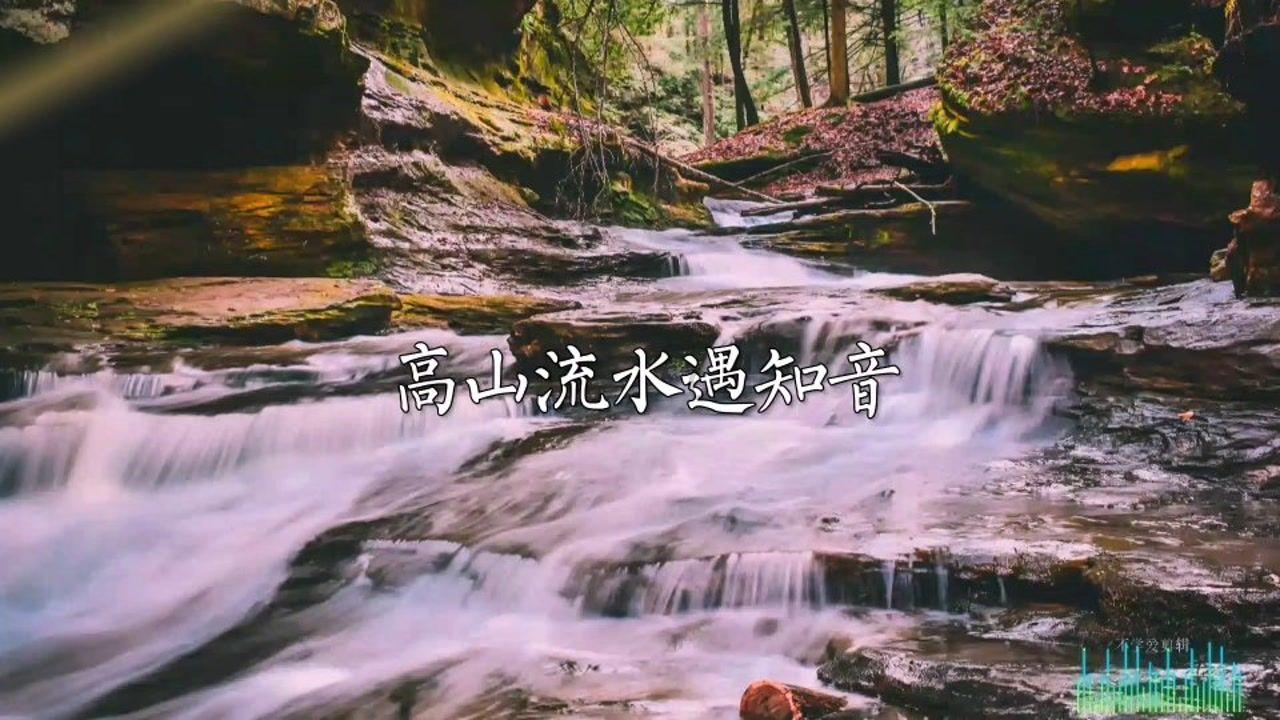 逃离泰莱森林