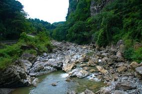 靖安县山里跳出致富蛙